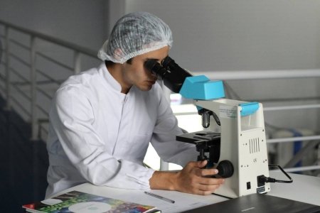 Hospitales y Laboratorios